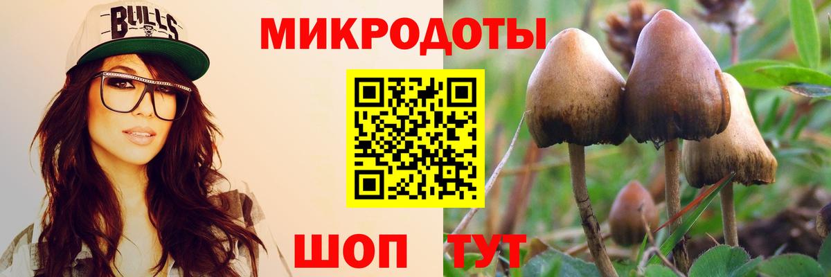 Галлюциногенные грибы Magic Shrooms  Галлюциногенные грибы мухоморы  Гагарин  Вход с VPN 